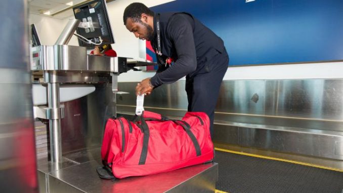 Delta Baggage