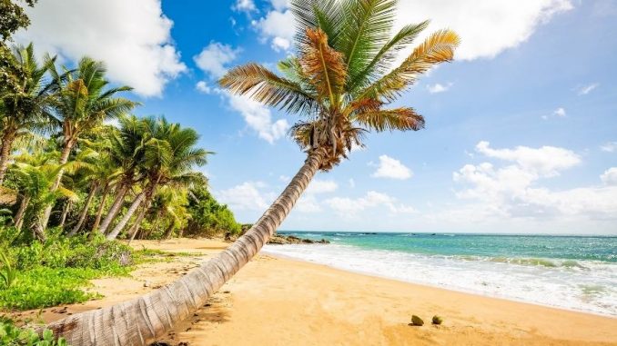 Island Life Caribbean